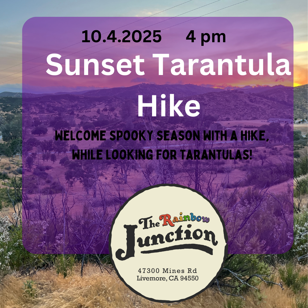Tarantula Hike 10/4